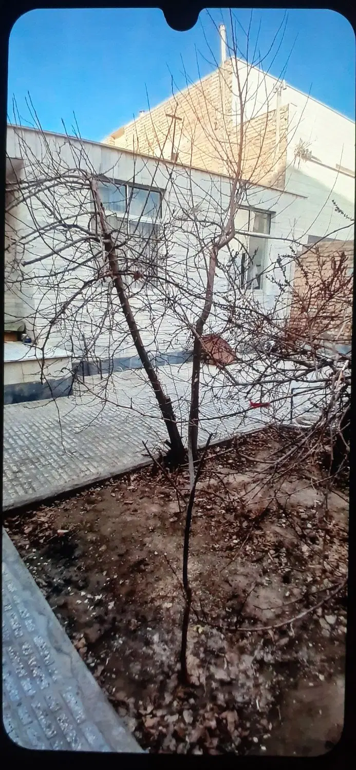خانه ویلایی خیابان پرستار شمالی نقلی