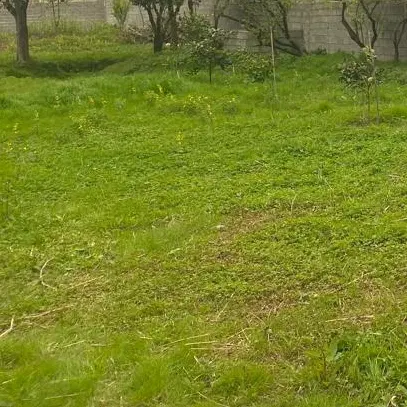 ۳۰۰ متر زمین باسند تک برگ و کاربری مسکونی و مجوز ی