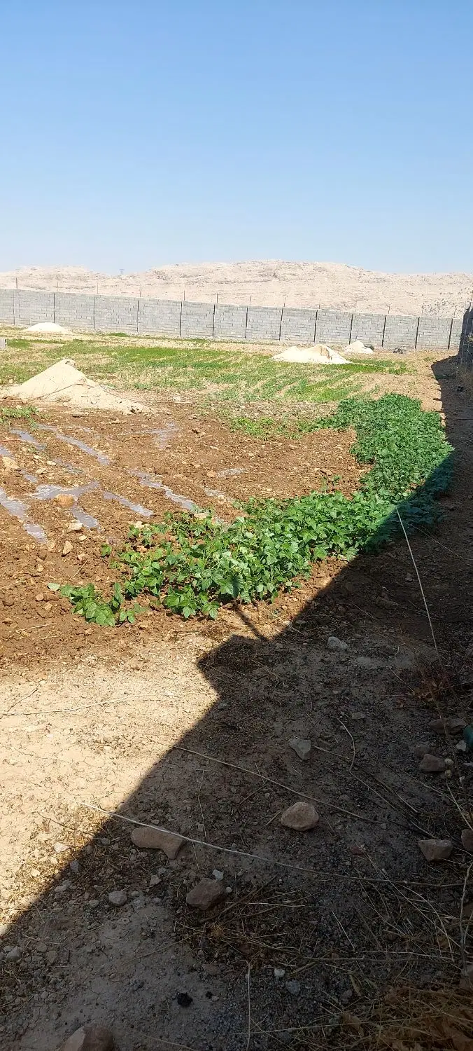 فروش طرح گلخانه