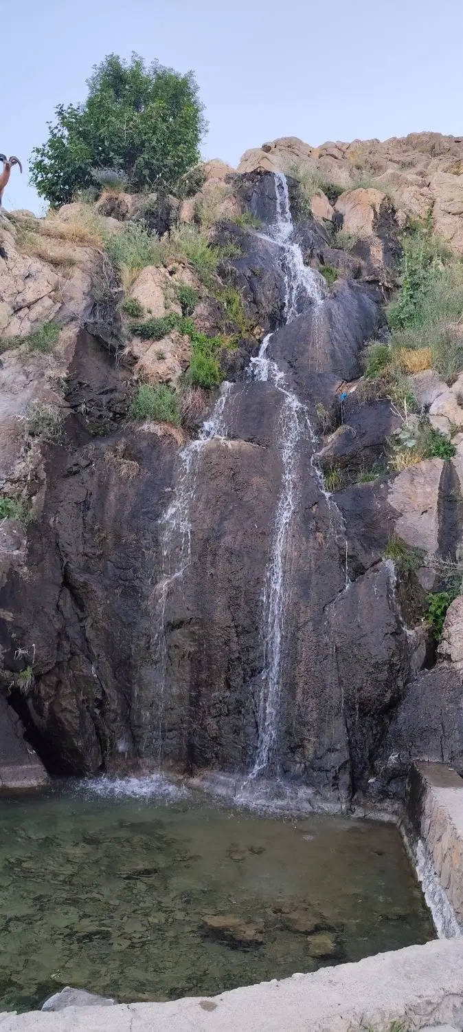 زمین
