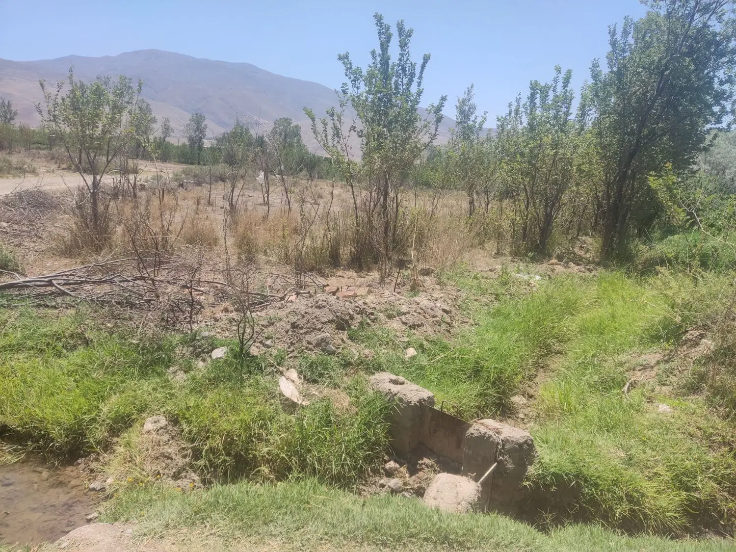 زمین کشاورزی