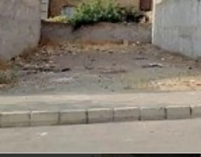 زمین۲۸۰ متر