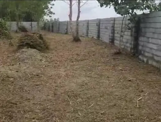 زمین ۴۷۳ متری با سند تک‌برگ بیجاربنه لفمجان