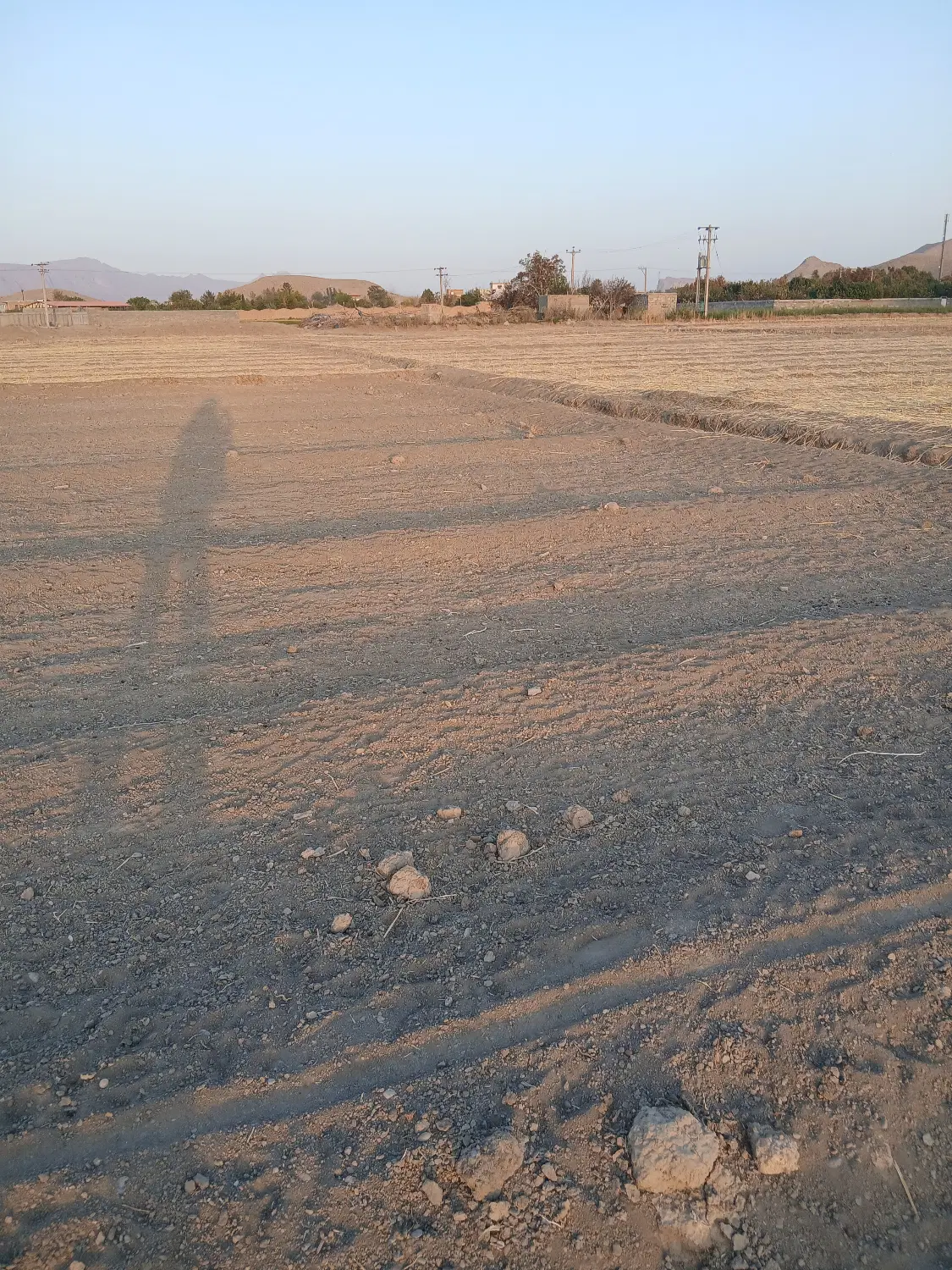 فروش زمین
