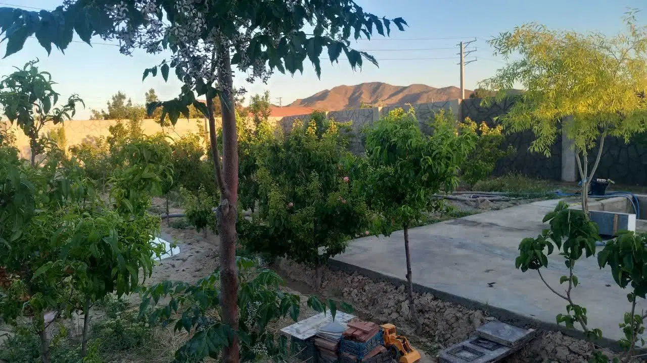 باغ، باغچه