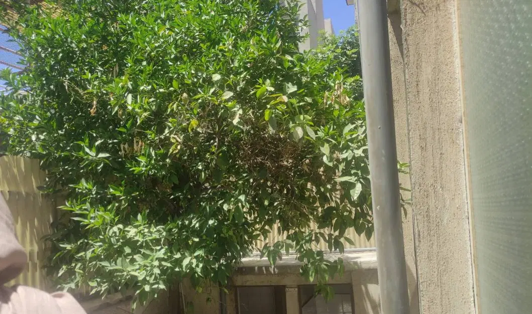 خانه ویلایی رهن و اجاره