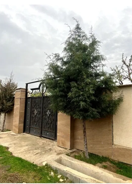 تهاتر باغ میوه 400 متری با آپارتمان در کرج و ماشین