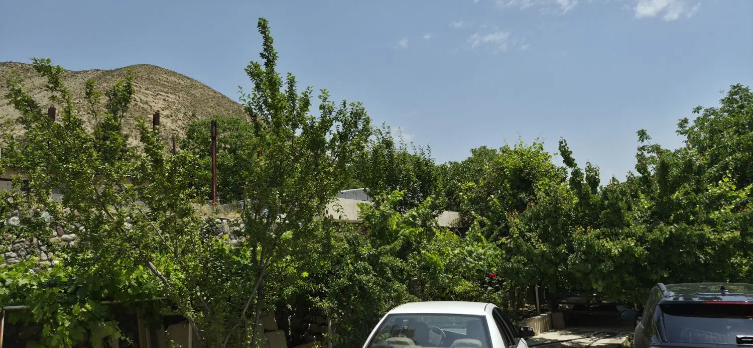 1600 متر  باغ،، سند تک برگ
