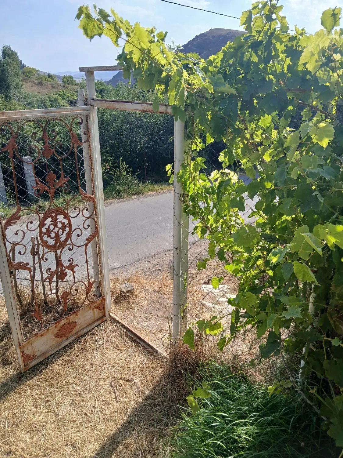 باغ دربندهیربرجاده اصلی