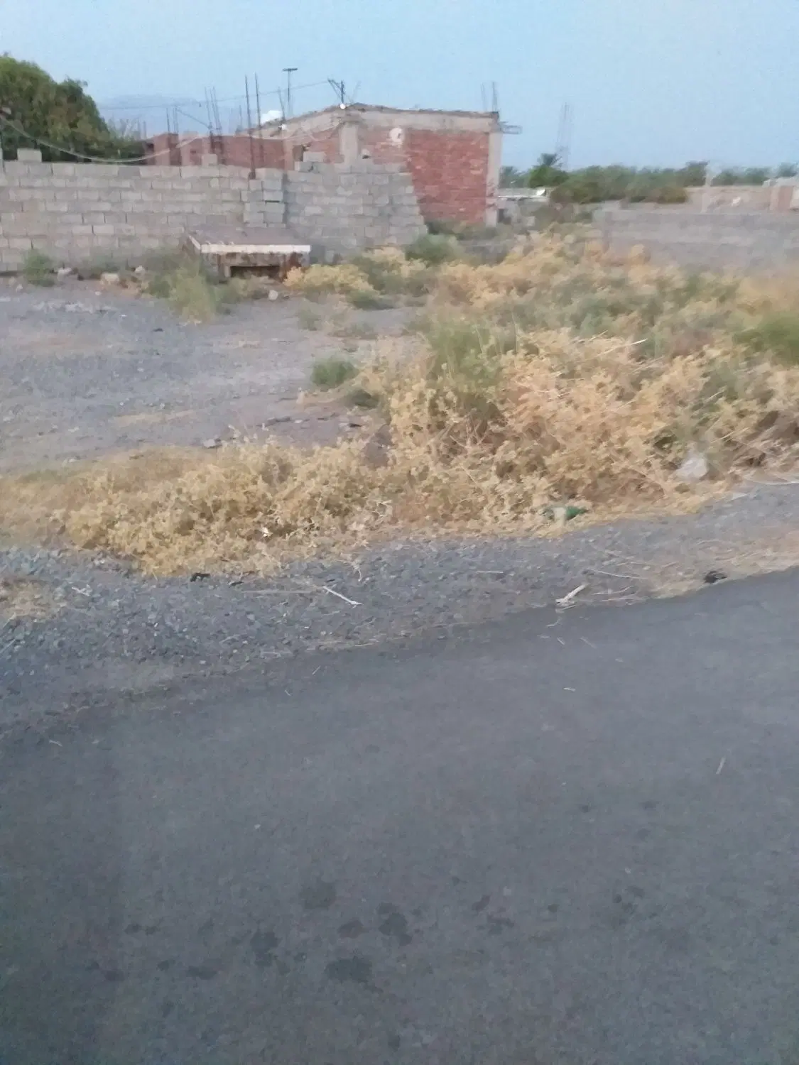 زمین تجاری طوهان