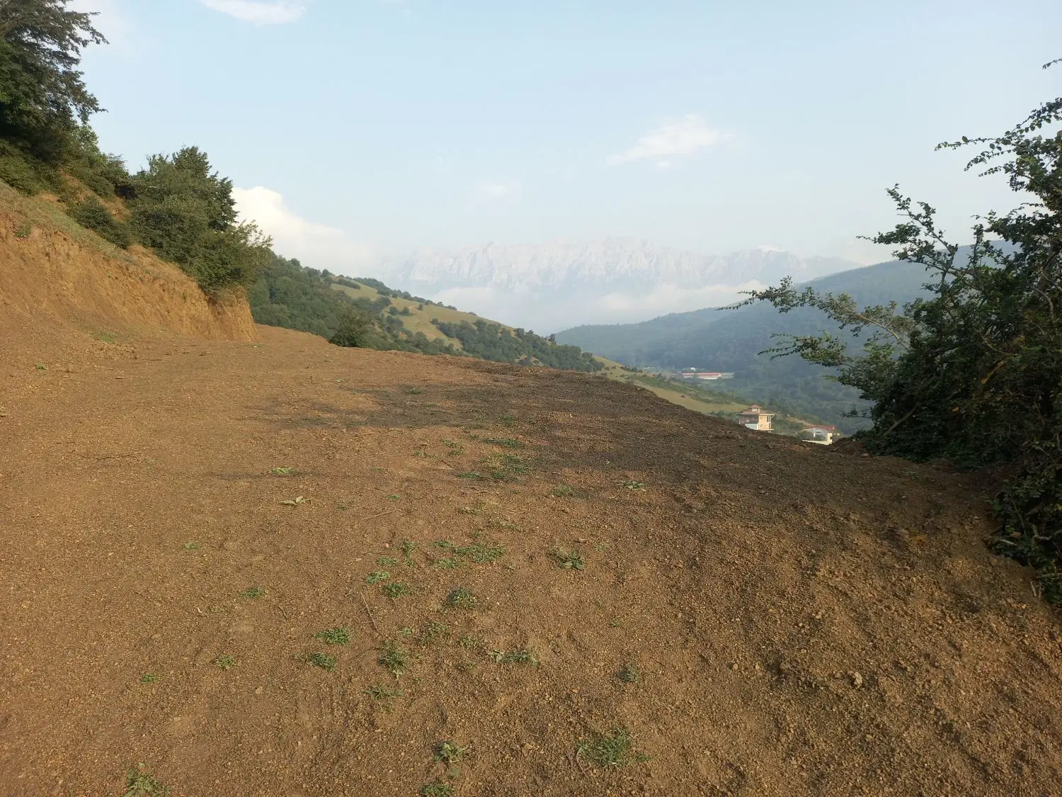 زمین کشاورزی