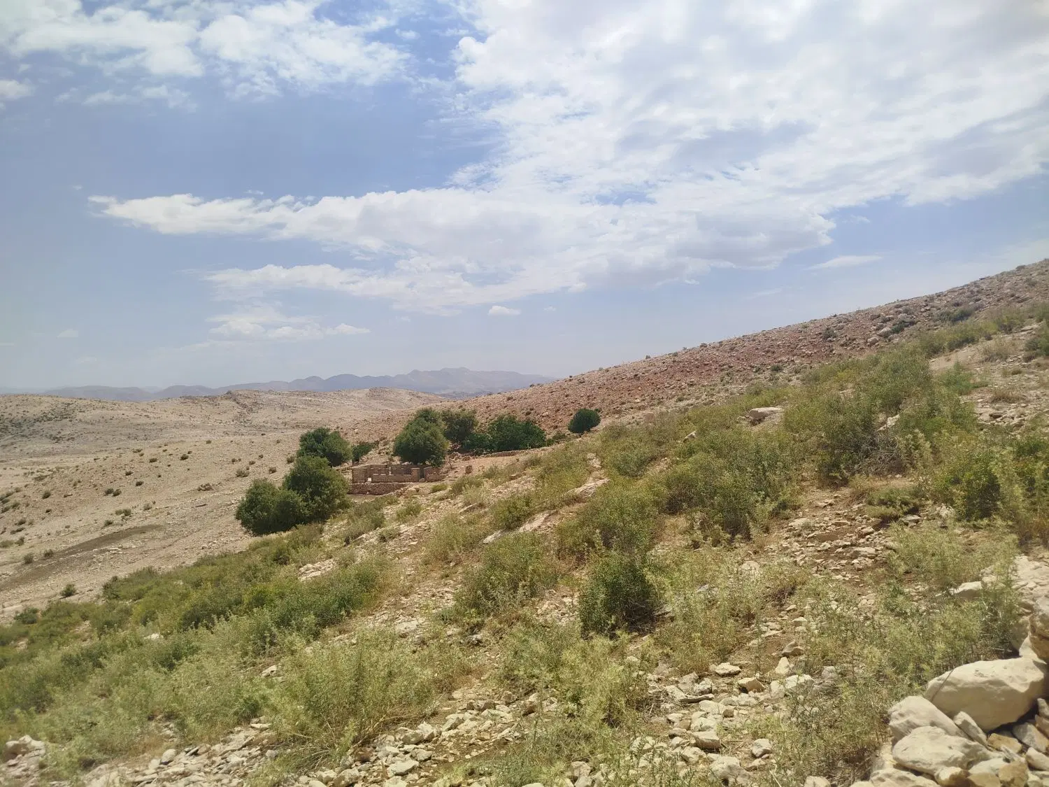 فروش زمین گورک خورشیدی