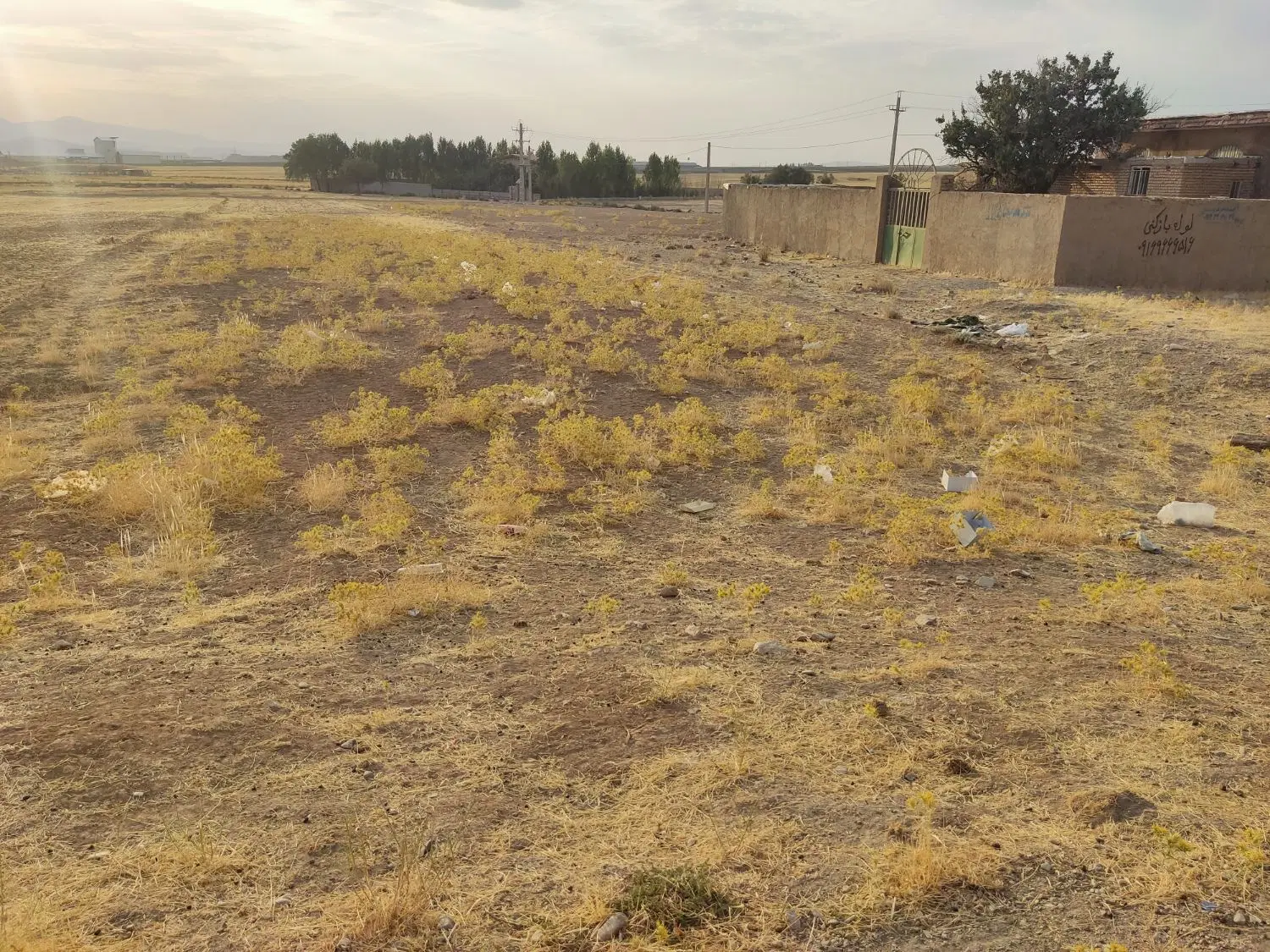 یه قطعه زمین کشاورزی