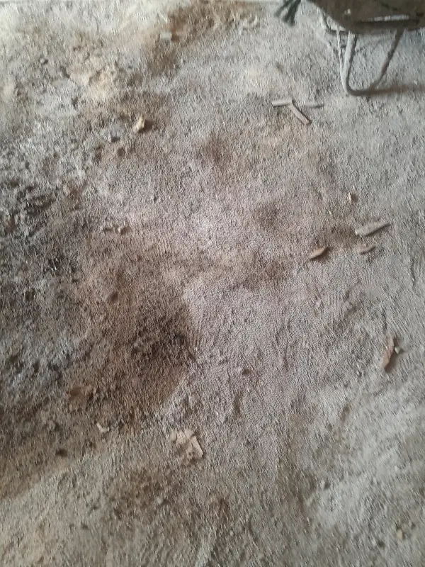 زمین ۲۵۰متری