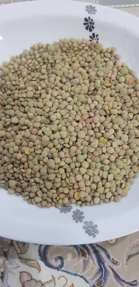 بر جاده گنبد ب مینودشت