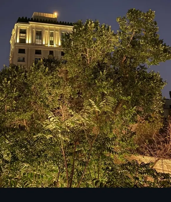 اجاره آپارتمان مسکونی