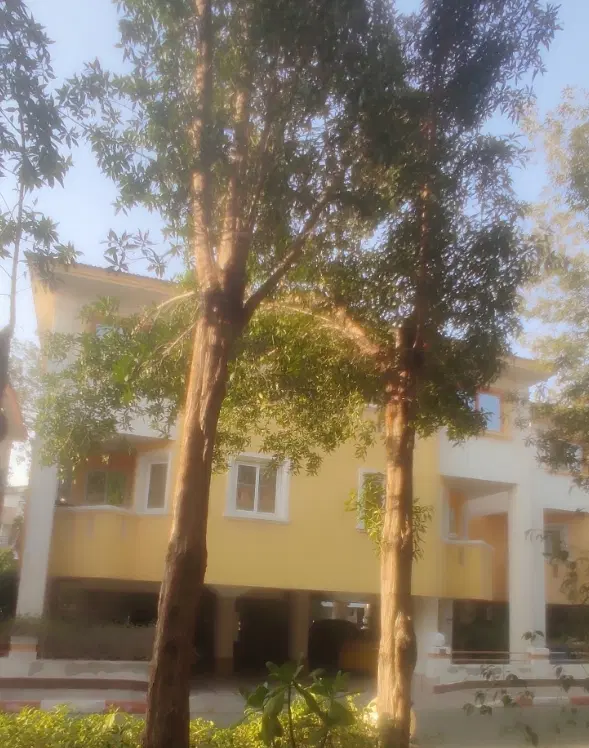 همخونه کیش