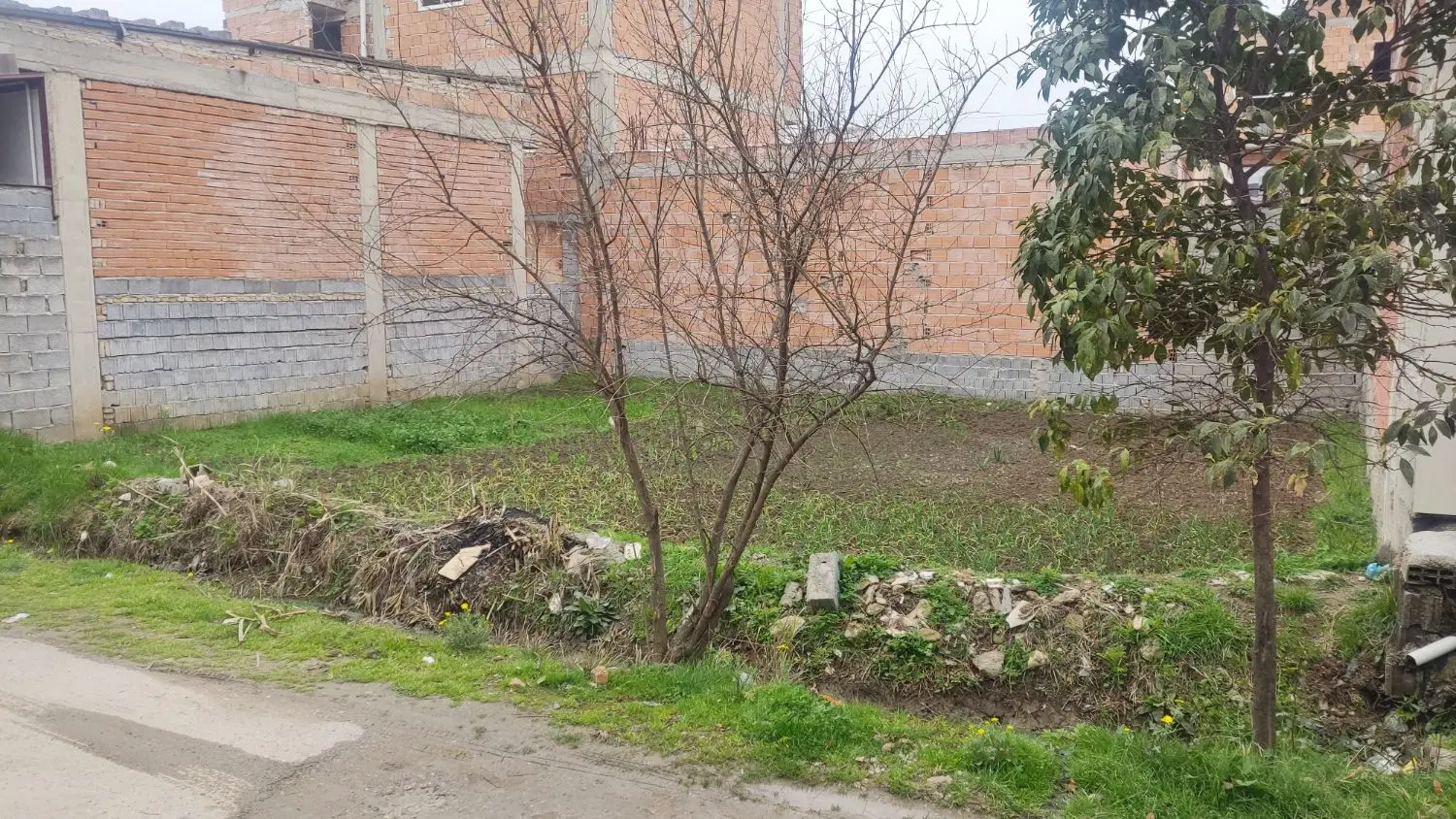 زمین ۱۵۰ متر گرجی کلا