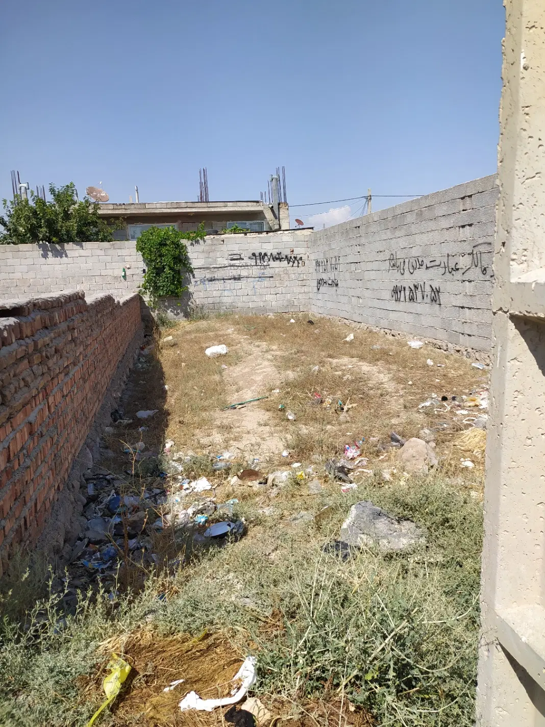 زمین در باغ معروف