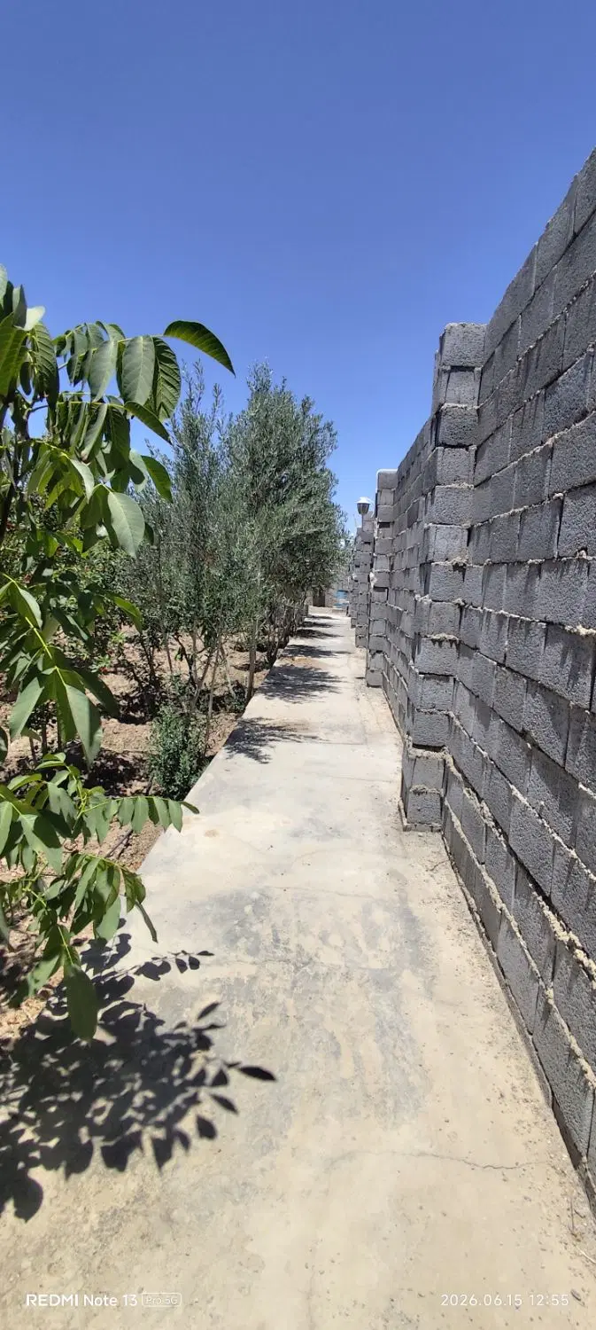 باغ میوه ۸۰۰ متر استخردار درچه ولاشون