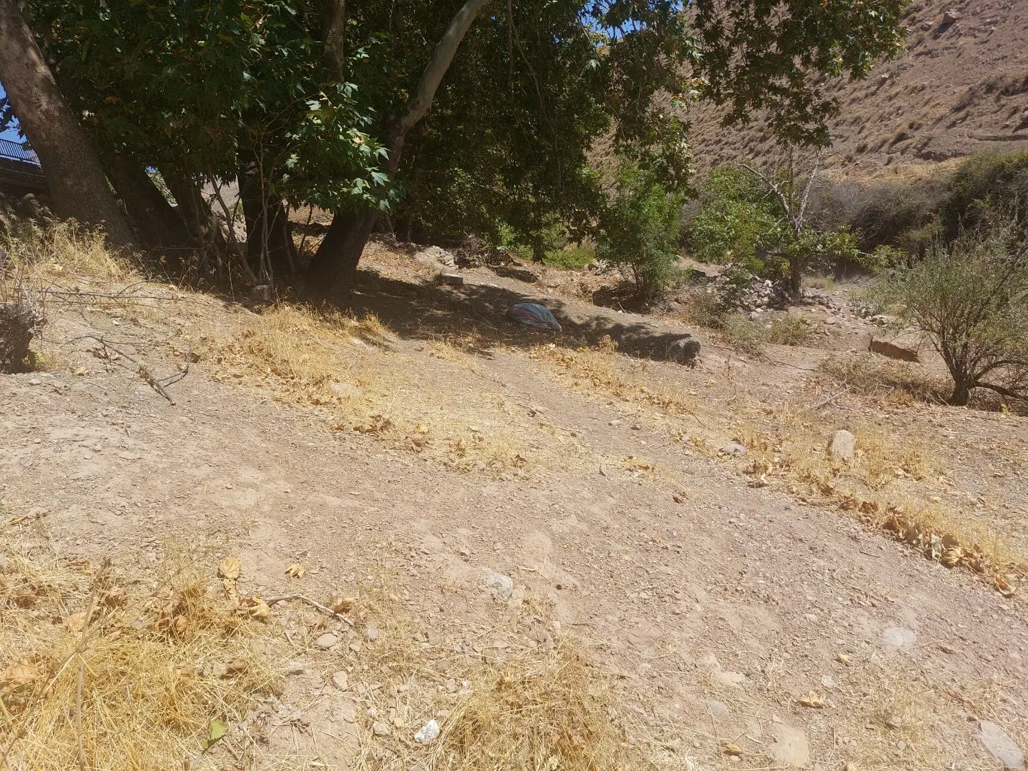زمین فروشی