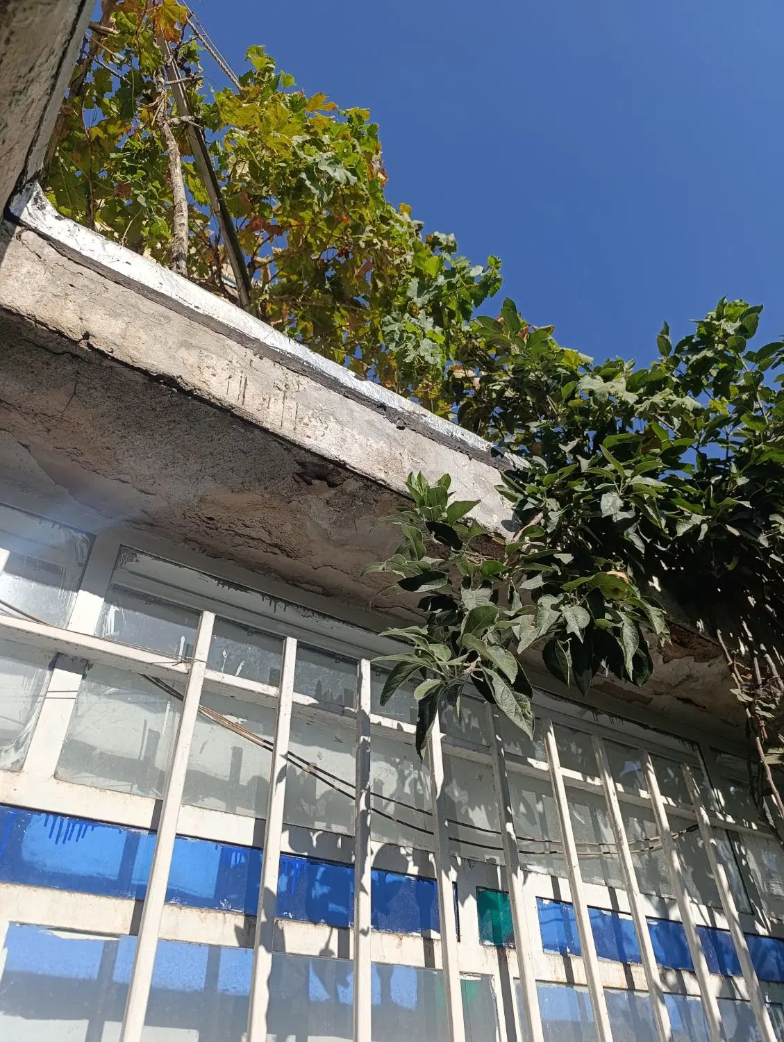 فروش هوایی