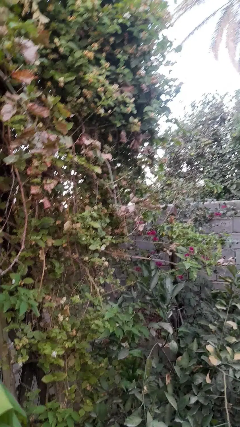 خانه ویلایی در روستای چهارفرسخ