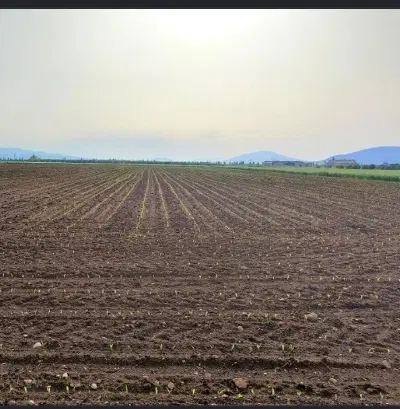 زمین کشاورزی
