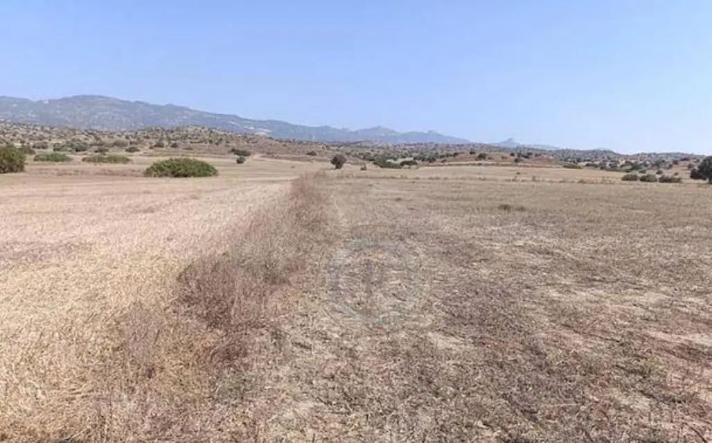 زمین بحر خیابان سردان