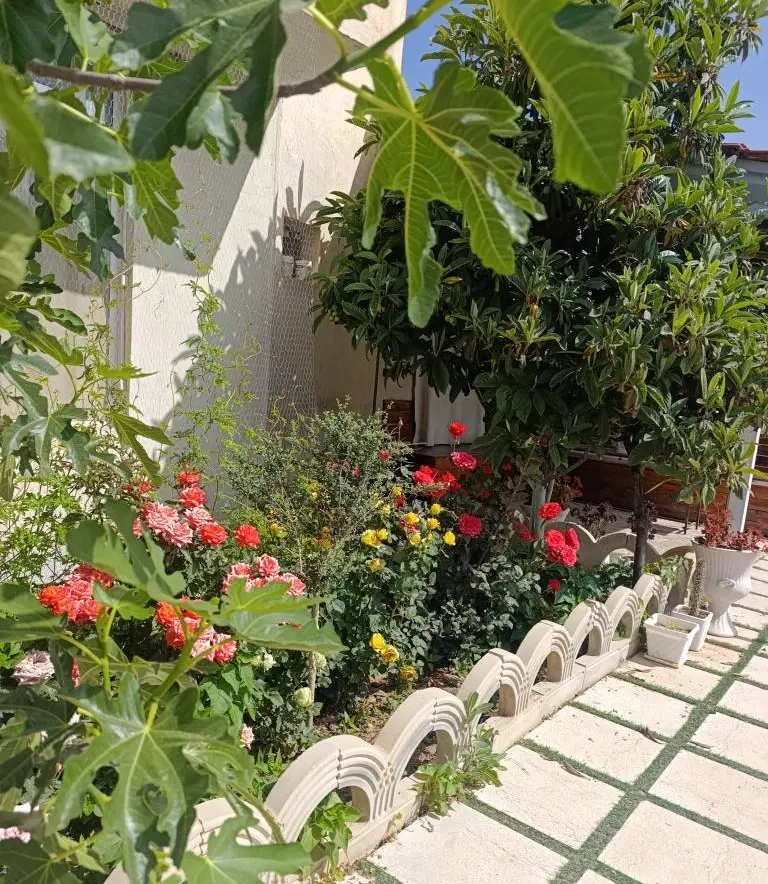 اتاق مهمان
