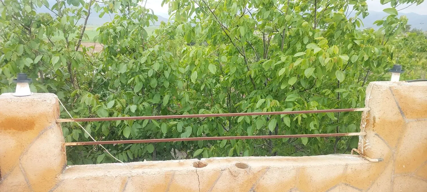باغ ویلا و زمین کشاورزی