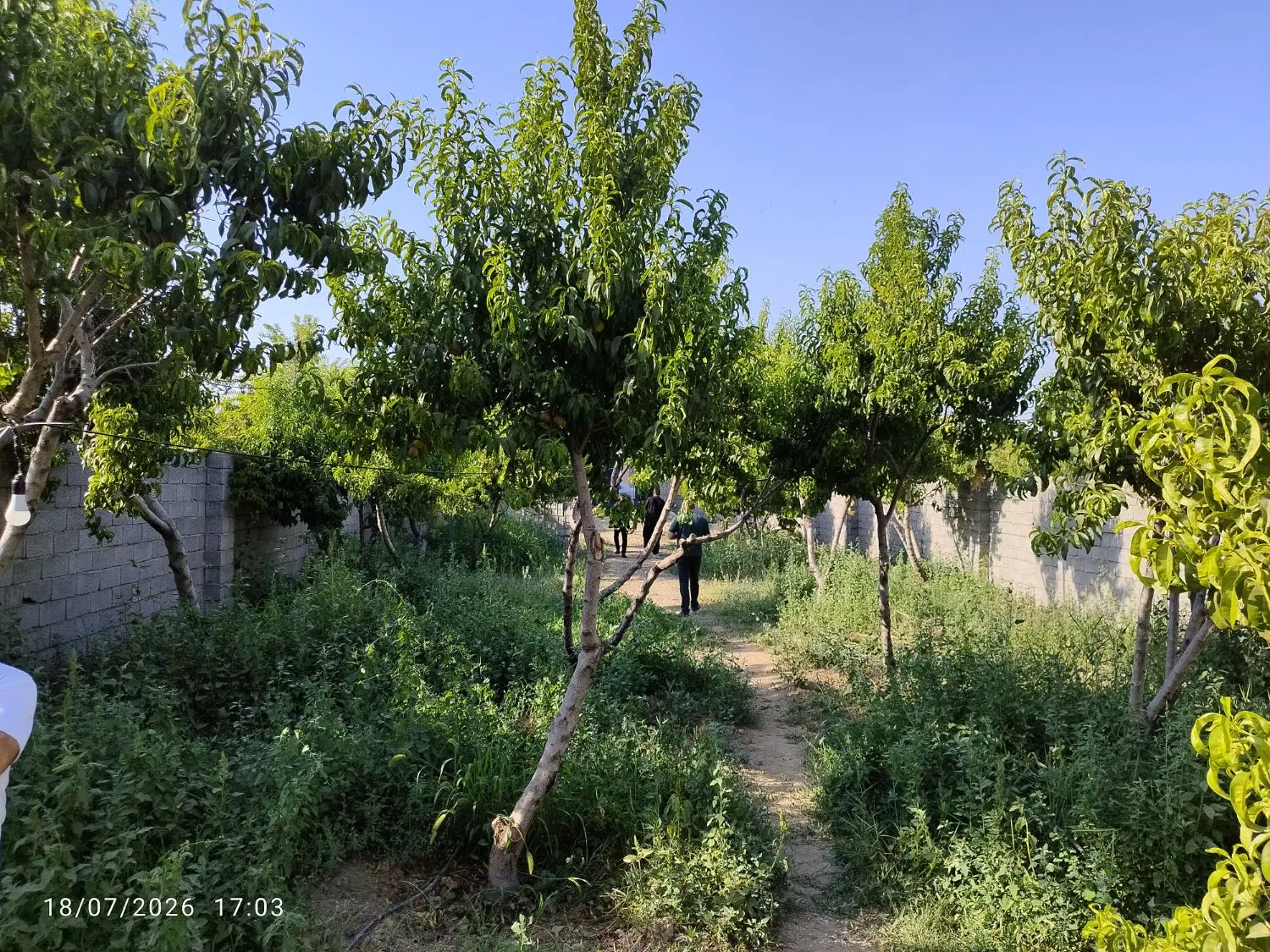 ۶۰۰ متر شهرکی جاده دهکده