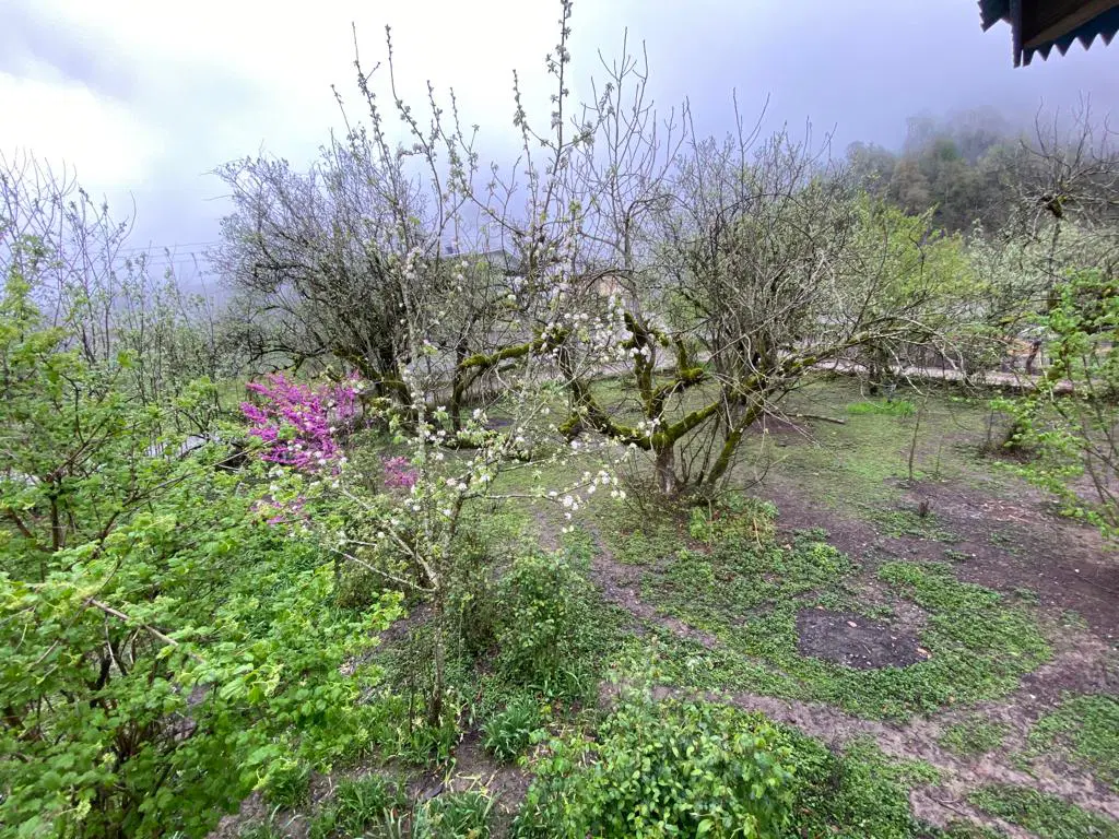 زمین ۳۰۰۰ متری مسکونی با سند تک برگ