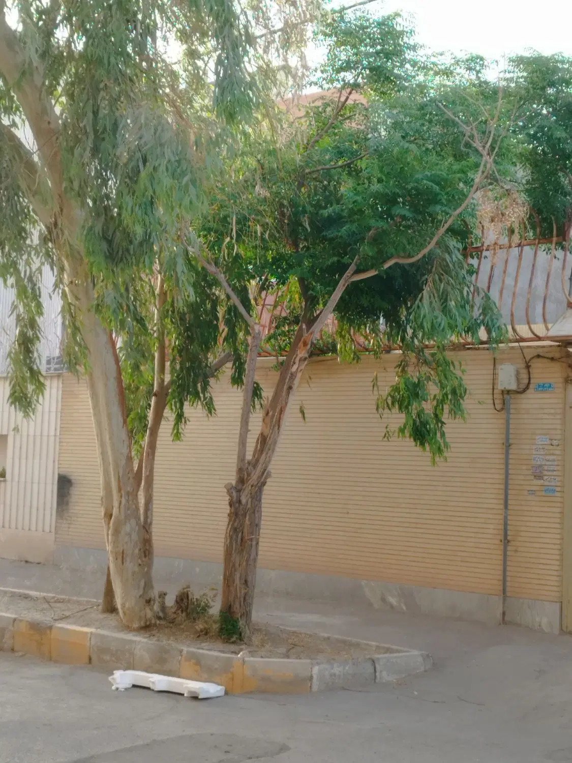 اجاره ویلایی یک طبقه دربست