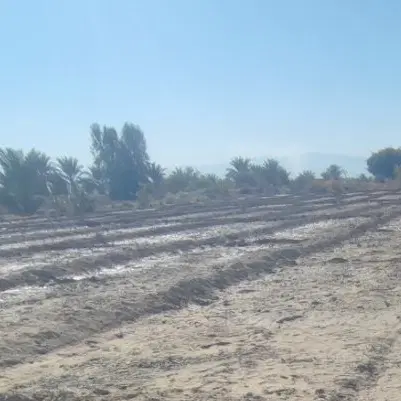زمین کشاورزی