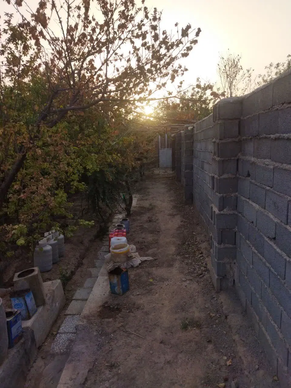 باغ فروشی در کوچه سبزه نگار راوند