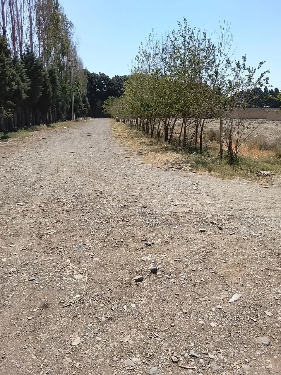 ۲۰۰۰متر زمین در گرمدره