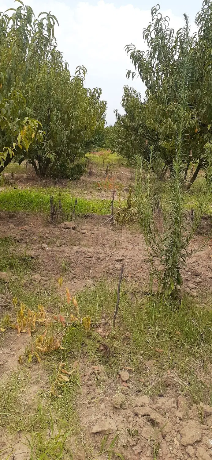یک قواره خانه سری ۵۰۰متر