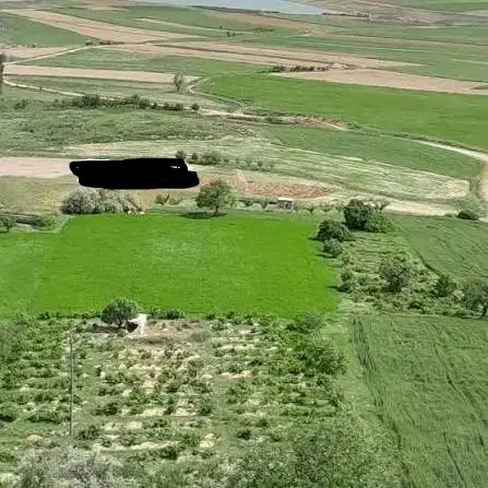۴ قطعه زمین های دیم و آبی کشاورزی در روستای گلویچ