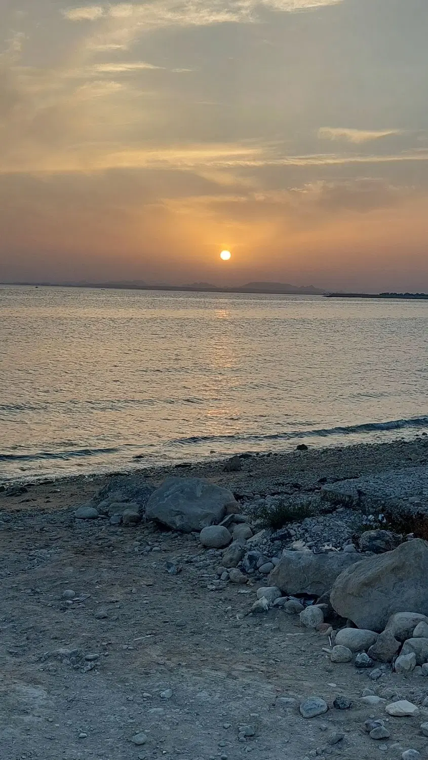فروش زمین بر بلوار ساحلی