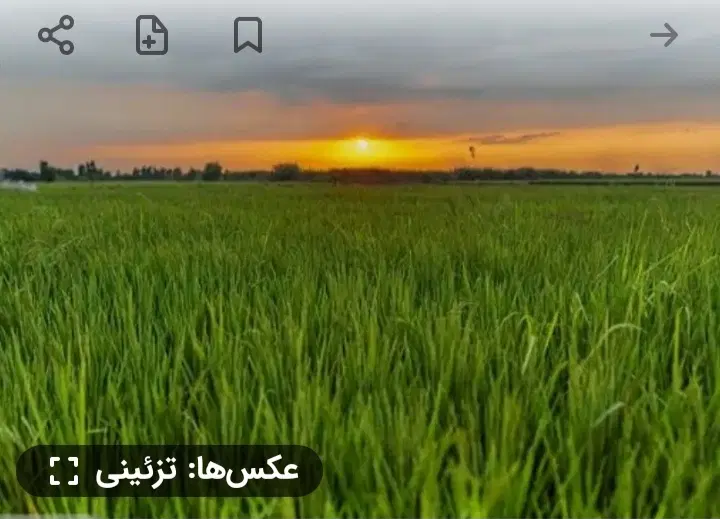 زمین