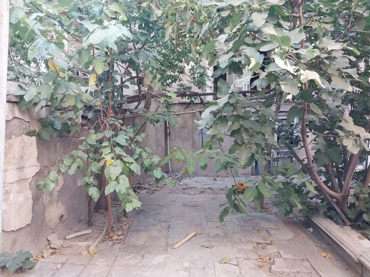 املاک