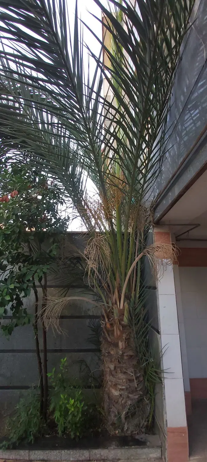 آپارتمان ۸۵ متری شهرک مطهری