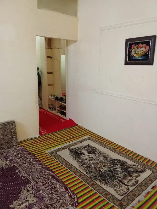 خونه دارم همخونه میخوام