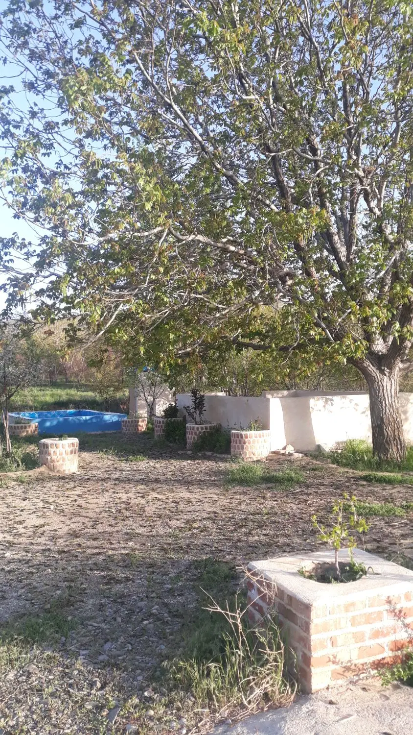 باغ میوه مناسب تفریح