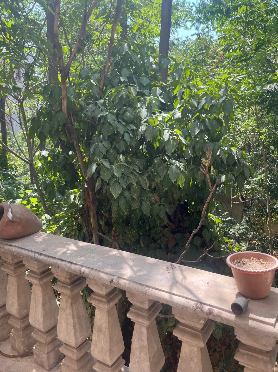 ۱۳۵ متر اپارتمان ۲خوابه