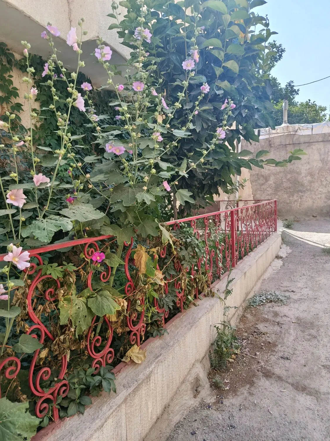 رهن آپارتمان 75متری در کیانمهر
