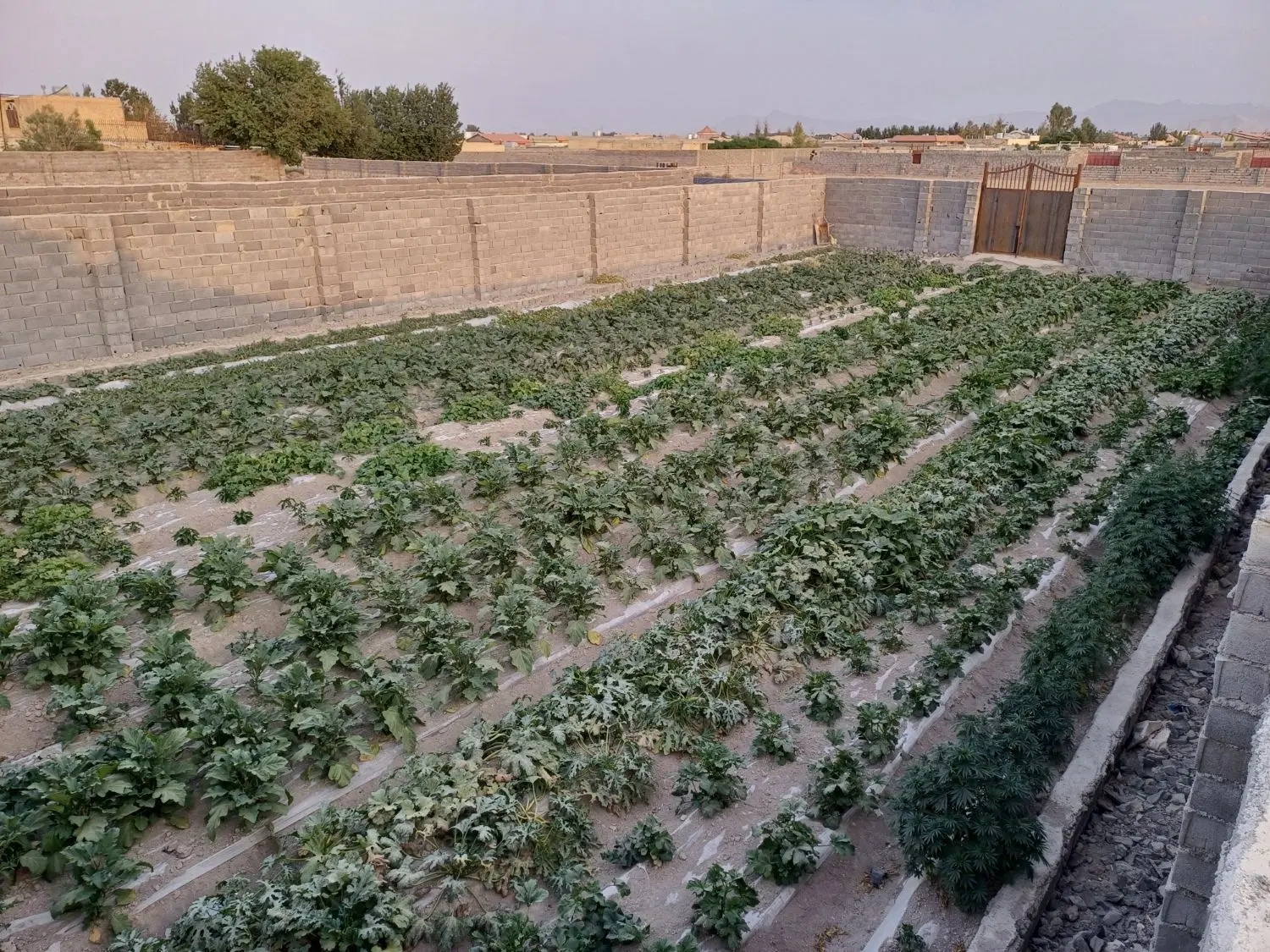 چهاردیواری باغ دستجا
