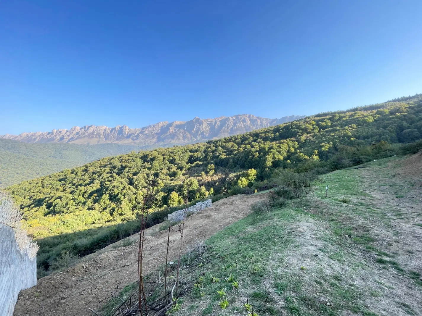 زمین در ازتفاعات سوادکوه-روستای ورپی