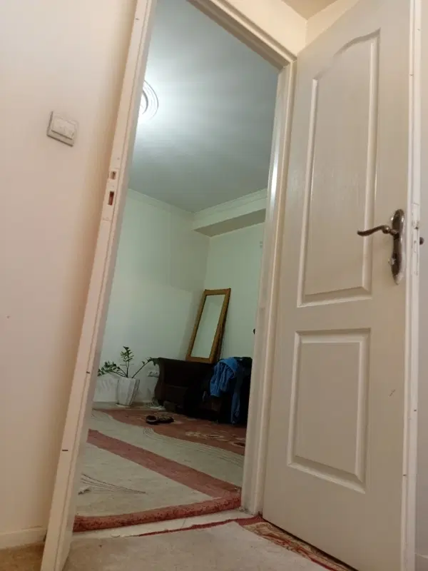 همخونه خانم